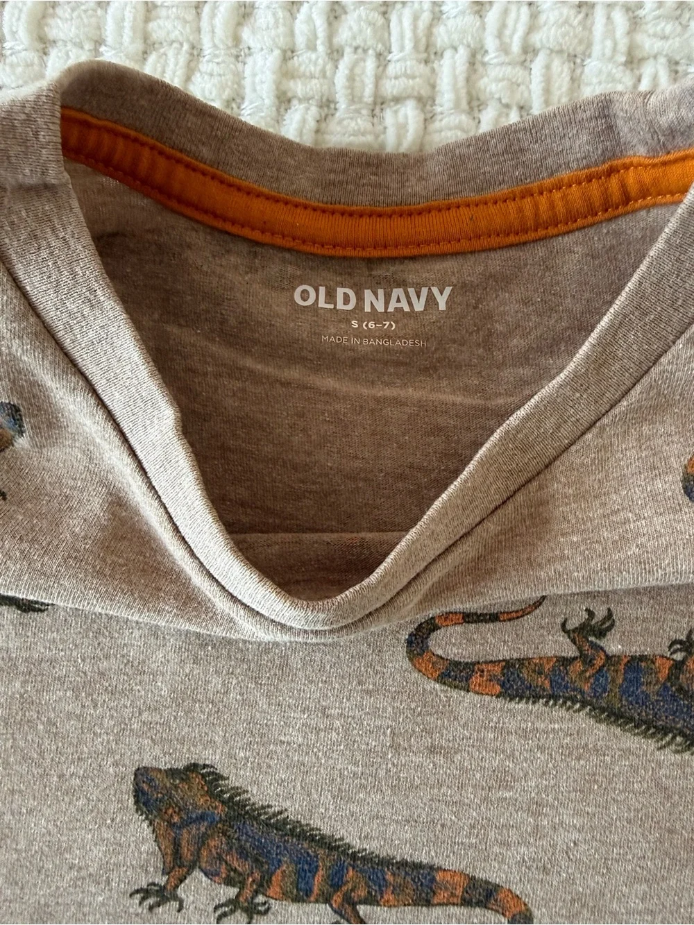 Old Navy Brown Short Sleeve Tee with Iguana Print